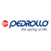 Pedrollo Water Pump