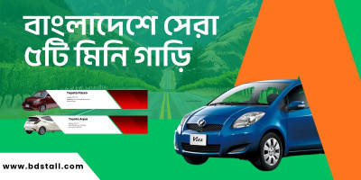 বাংলাদেশের সেরা ৫টি মিনি গাড়ি