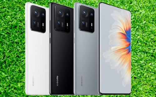 Pantiesdagi semiz ayollarning fotosuratlari Ayollar uchun ozbek porno saytlar