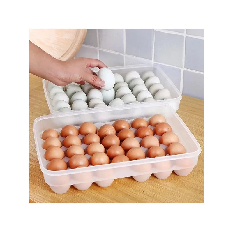 24-Grid Egg Storage Box