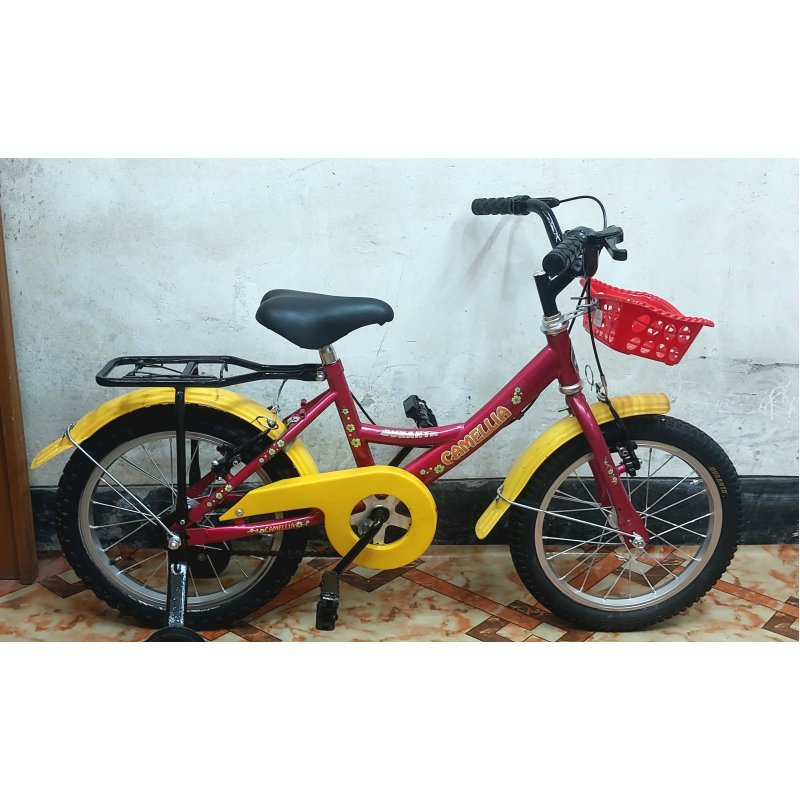 Duranta Camelia Ladies Baby Bicycle