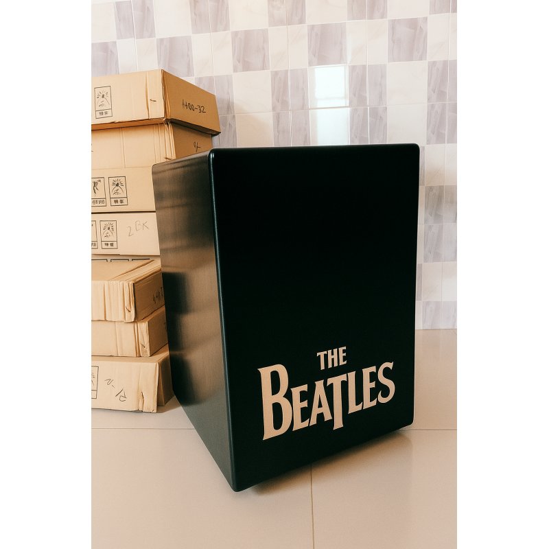 Premium Stylish Black Basic Carjon Box Music Instrument
