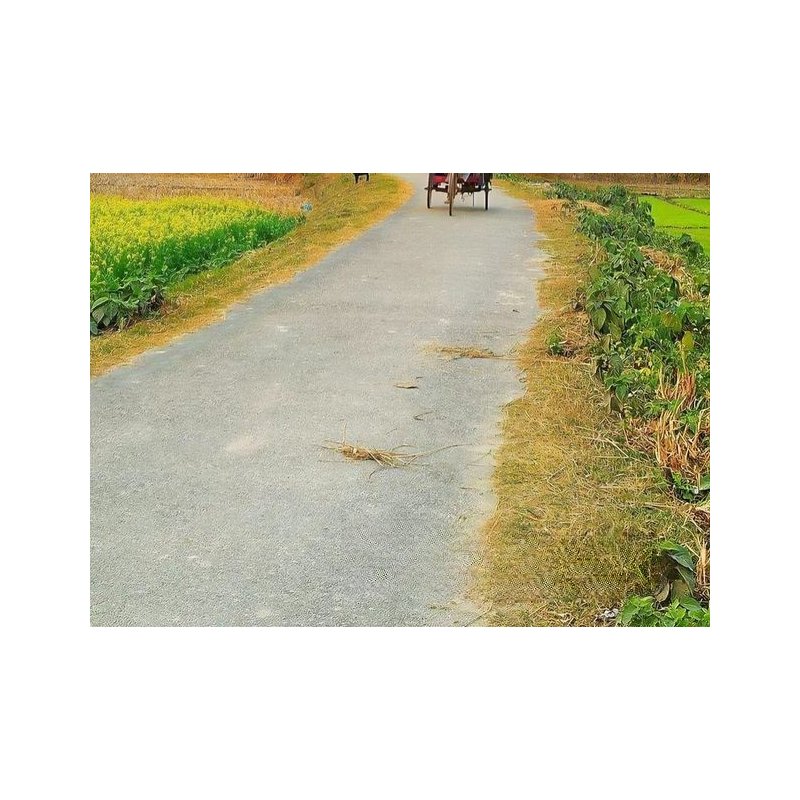 80-Century Land Sale at Moulvibazar Samserganj Road