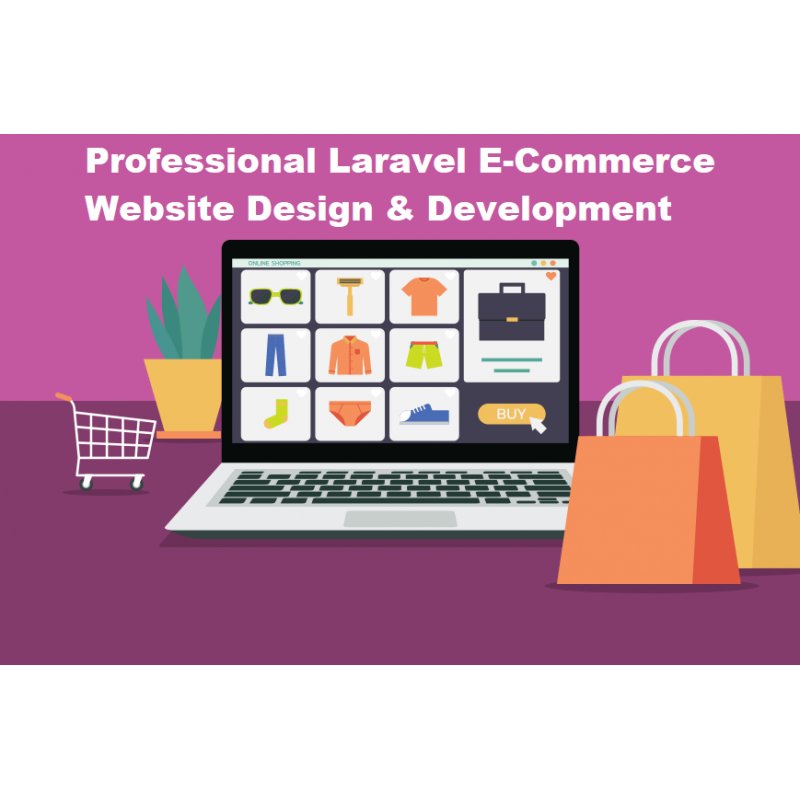Professional Laravel E-Commerce Website Design & Development