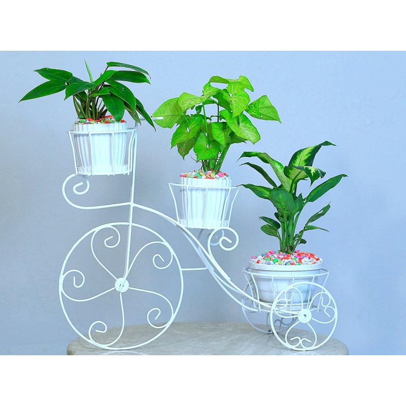 Metal Flower Cycle Stand