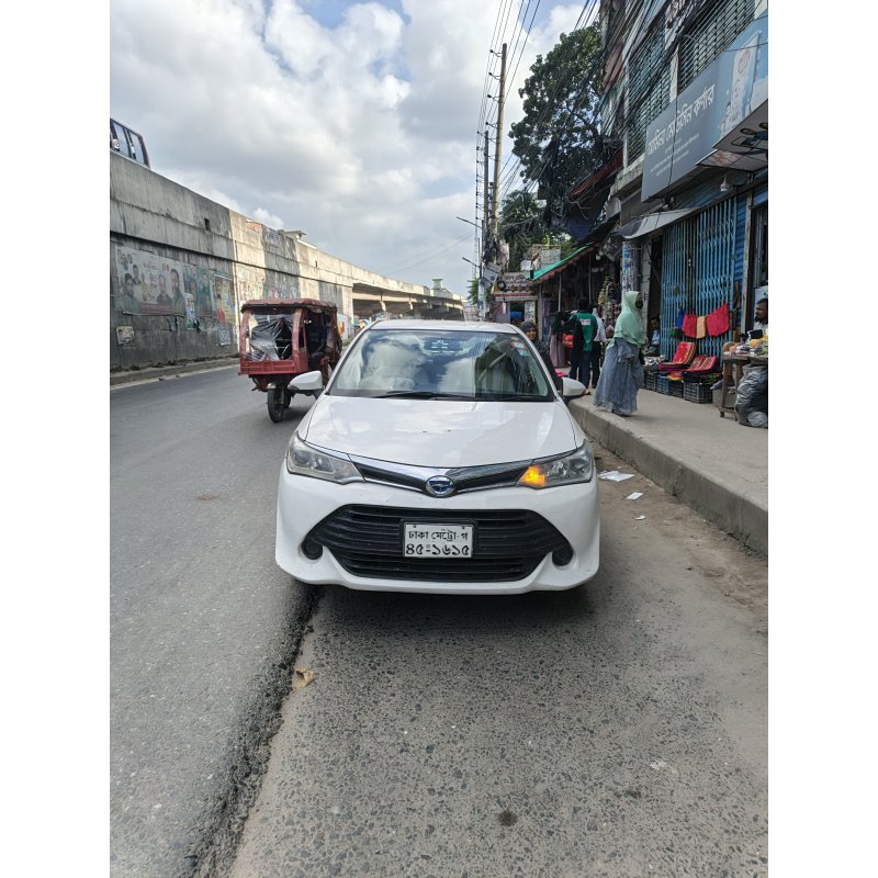 Hybrid Axio 2015