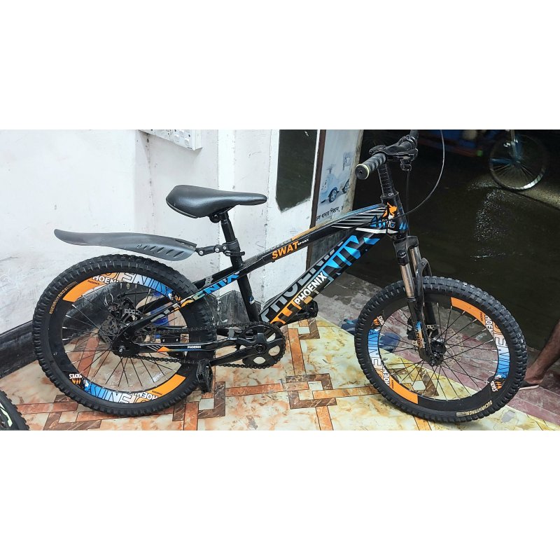 Phoenix 20" Recondition Baby Bicycle without Carrier