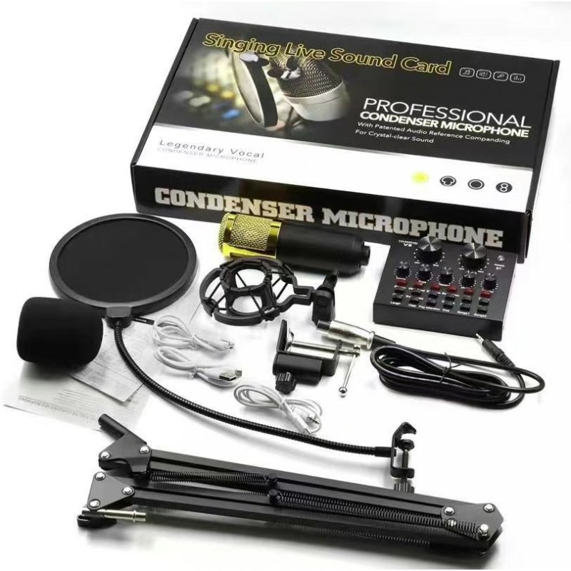 BM800+V8 Professional Condenser Microphone & Sound Card