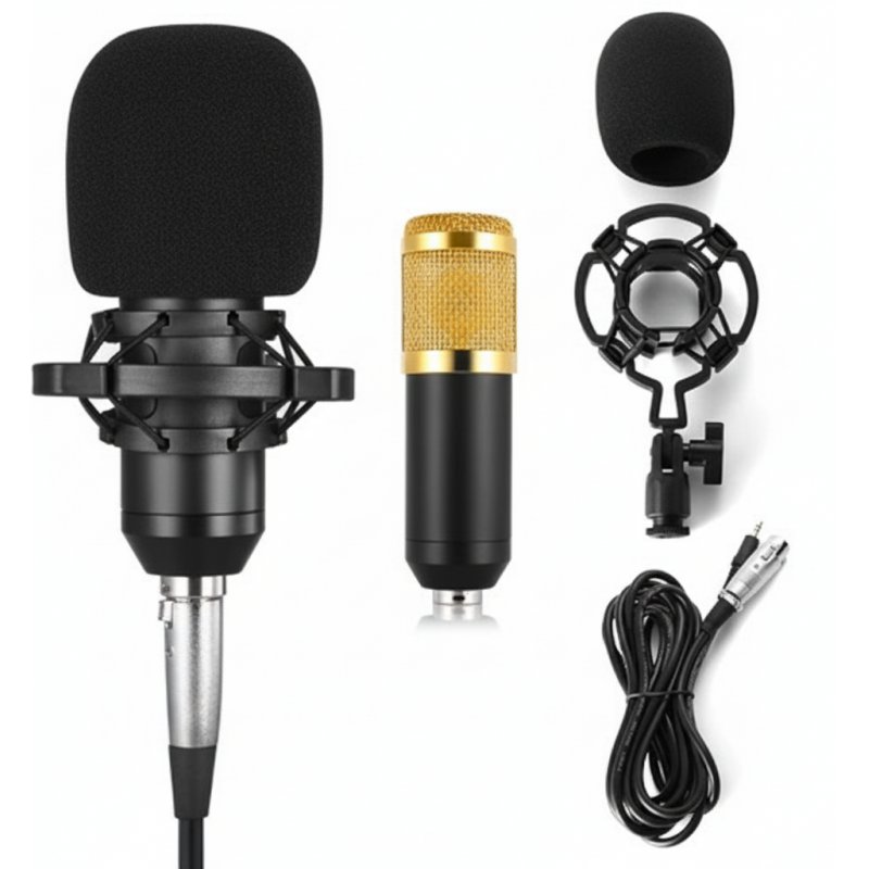 BM800 Condenser Microphone BM800 Condenser Microphone