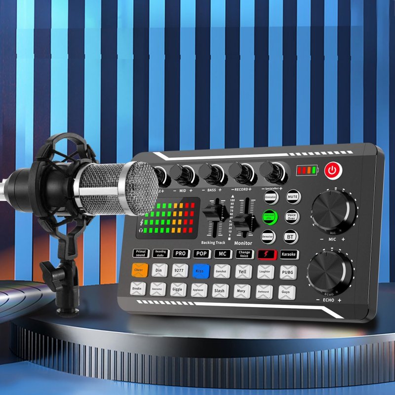 BM800 + F998 Condenser Microphone with Sound Card