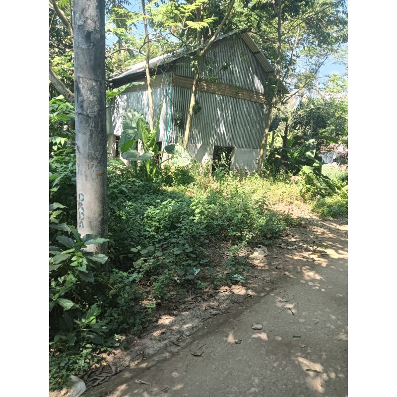 3-Katha Land Sale at Gazipur City 3-Katha Land Sale at Gazipur City