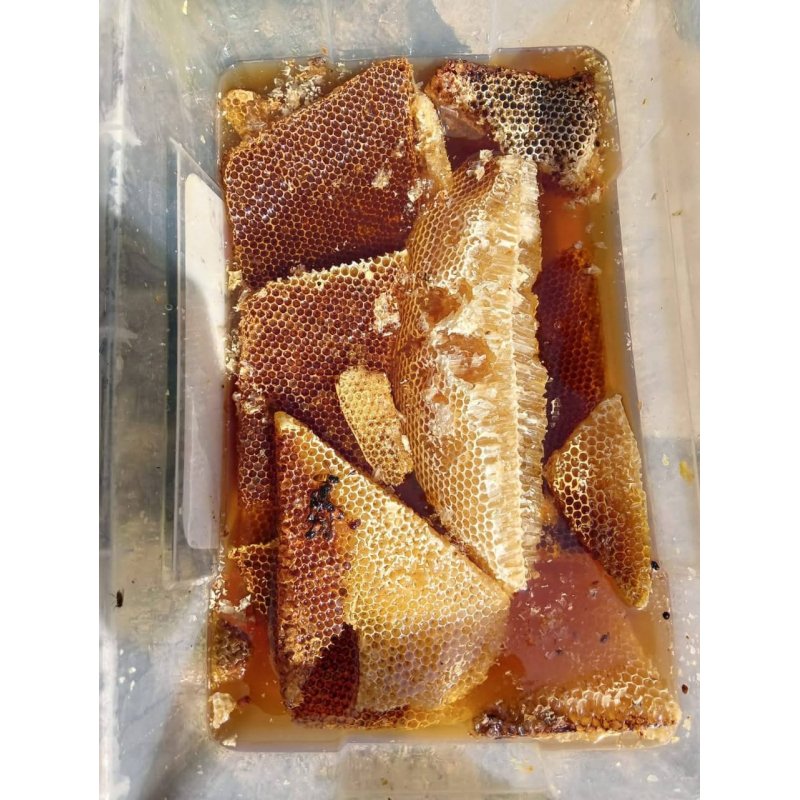 Chak Vanga Modhu 1Kg