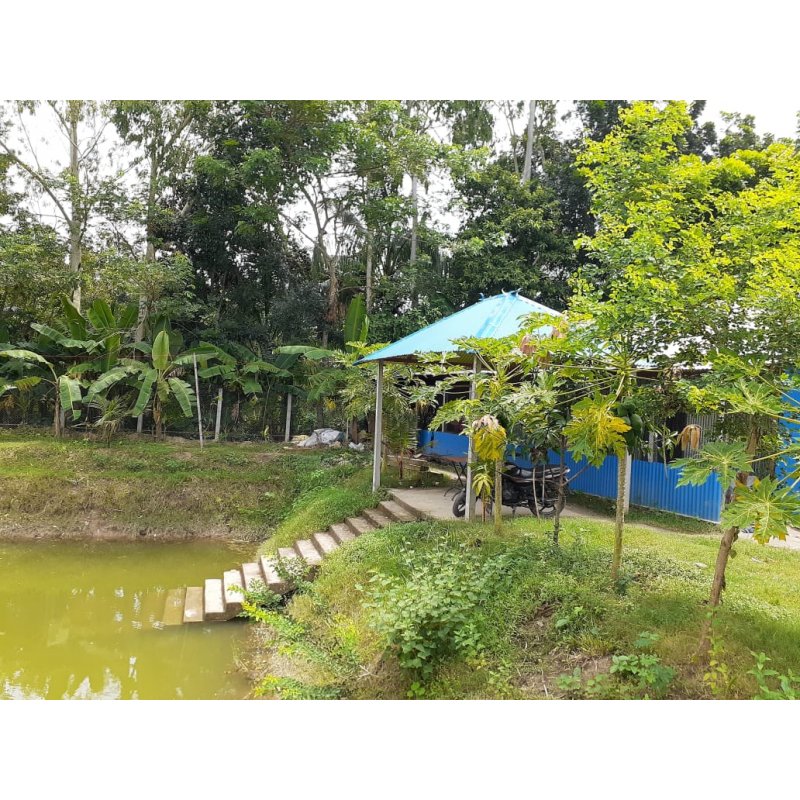 124 Shotok Land Sale at Faridpur Sadar