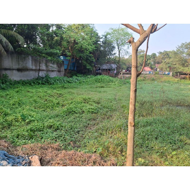 22 Shotok Land Sale at Rupganj, Narayanganj