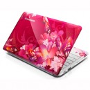 Lenovo Ideapad S10-3s, Pink color mini notebook.