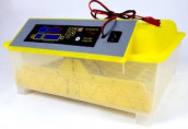 Automatic Digital AC / DC 56 Egg Incubator Machine