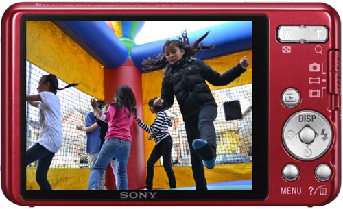 Sony CyberShot W650 16.1 MP 5x Optical Zoom Camera