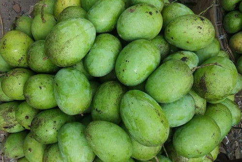 Lengra Mango from Chapainawabganj