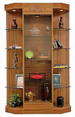 Shelf Type Showcase