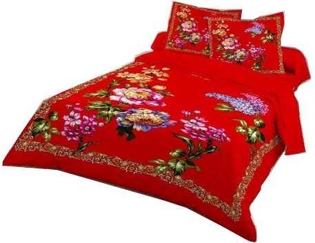 King Size Bed Sheet with Two Pillow Cover PB-557