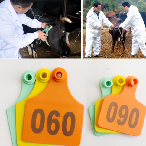 100 Pieces Ear Tag for Cow