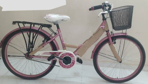 Phoenix Ladies Cycle 2021 Edition