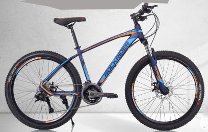 Rockrider Mountain Bicycle