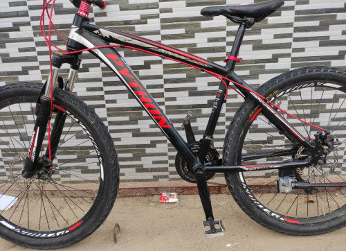 Python Bicycle