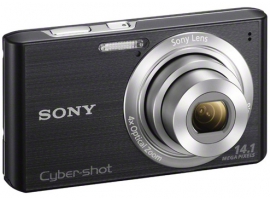 Sony Cyber-Shot DSC-W610 Camera with Panorama