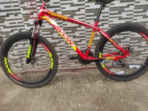 Avon Dual Disk Bicycle