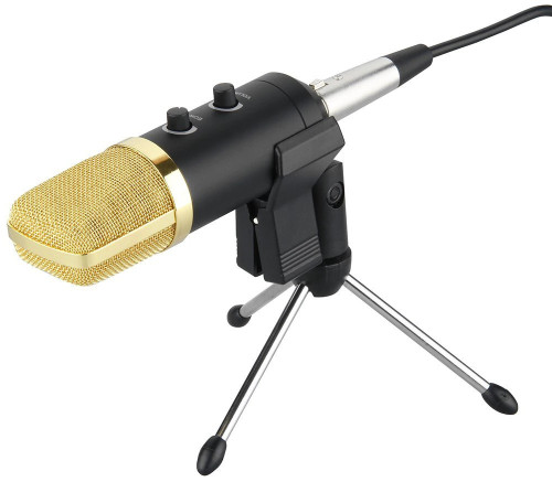 BM-100FX Condenser Studio Microphone Combo
