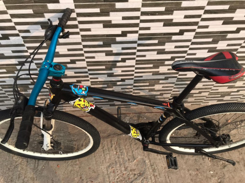 Double Gear Alloy Frame Bicycle