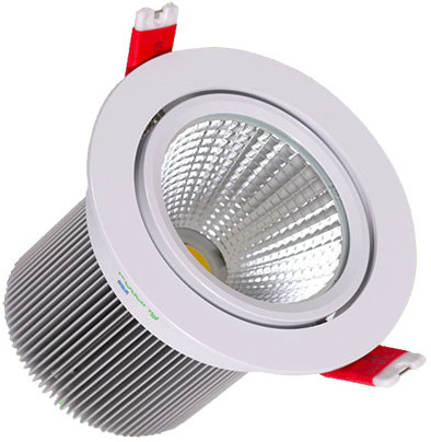 10-Watt Warm LED Spot Light