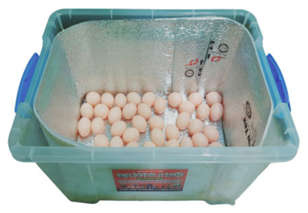 AC / DC Semi Mini 30 Egg Incubator