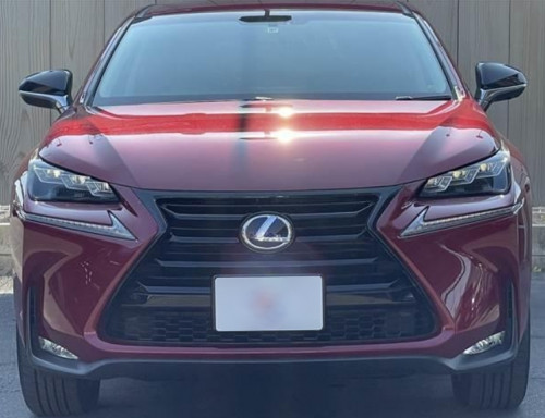 Lexus NX300h Urban Style 2017