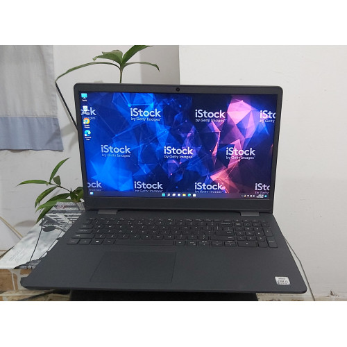 Dell Inspiron 15-3501 Core i3 10th Gen Laptop