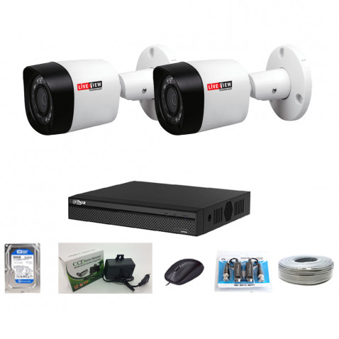 CCTV Package with Live View 4-CH DVR 2-Pcs Camera
