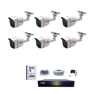 Live View 8-CH DVR 6-Pcs Full Color Camera Package