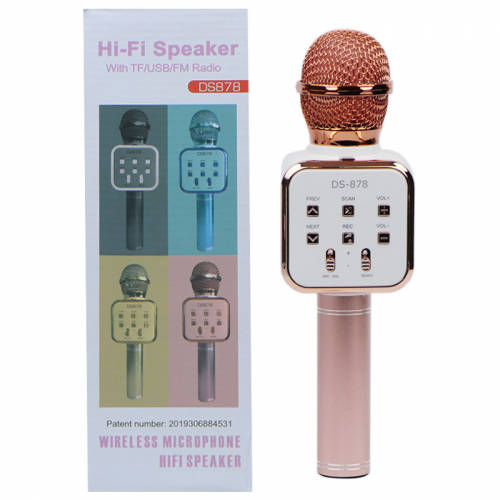 DS-878 Hi-Fi Wireless Microphone with TF/USB/FM Radio