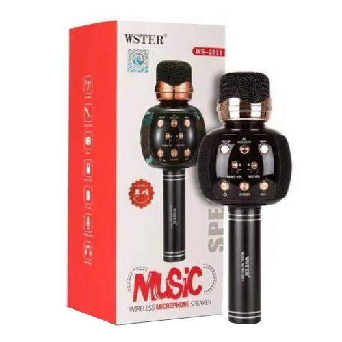 Wster WS2911 Wireless Microphone Speaker