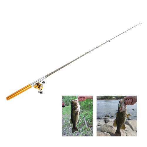 Pocket Pen Fishing Rod Pole with Golden Baitcasting