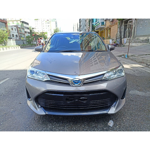 Toyota Axio G Package 2018