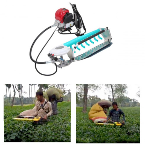 Tea Leaf Harvester Machine