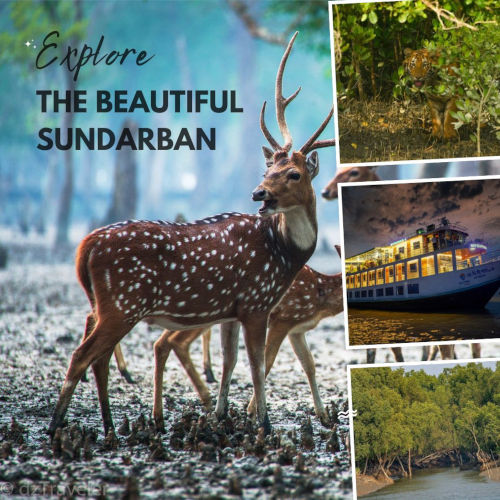 Sundarban Tour Package 2-Nights & 3-Days