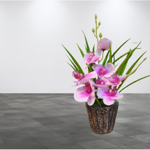 Artificial Multi Colored Orchid Flower With Wooden Tub