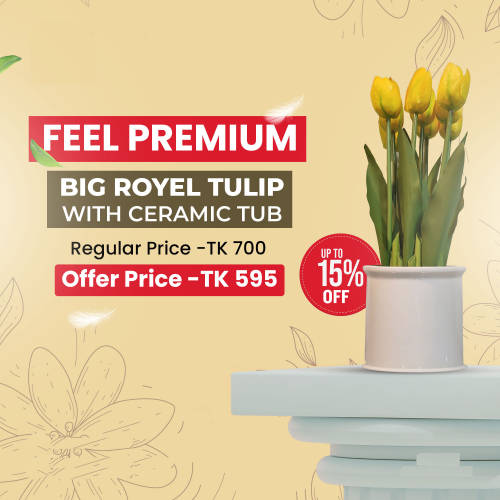 Big Royal Tulip Flower with Ceramic Tub