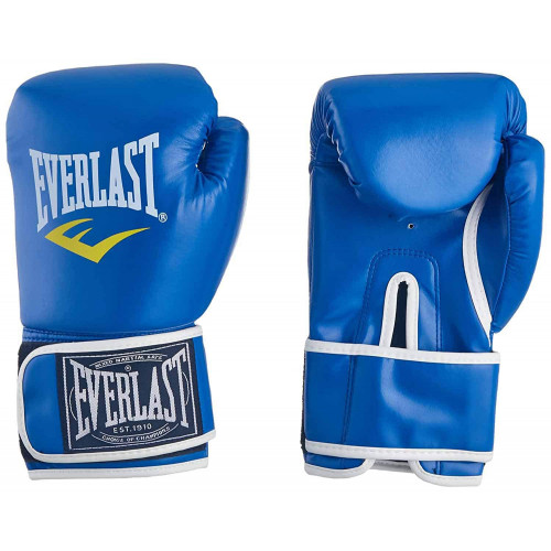 Everlast Boxing Gloves Pair