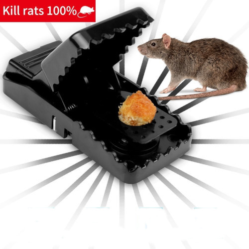 Reusable Mouse Trap