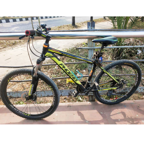 Phoenix Carter New Series Bicycle