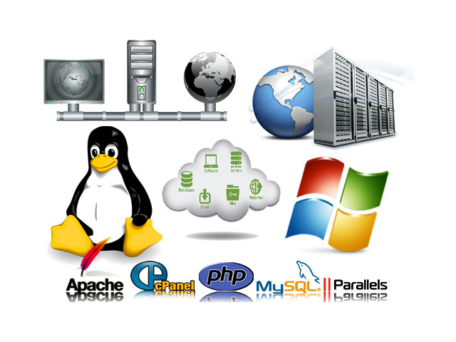 Solid Shared 1000 MB Linux USA Web Hosting Package